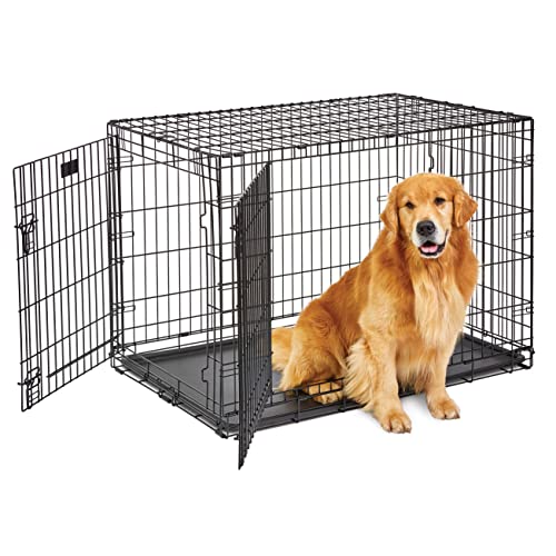 MidWest Homes for Pets Double Door 36-Inch Folding Dog Crate Y75670