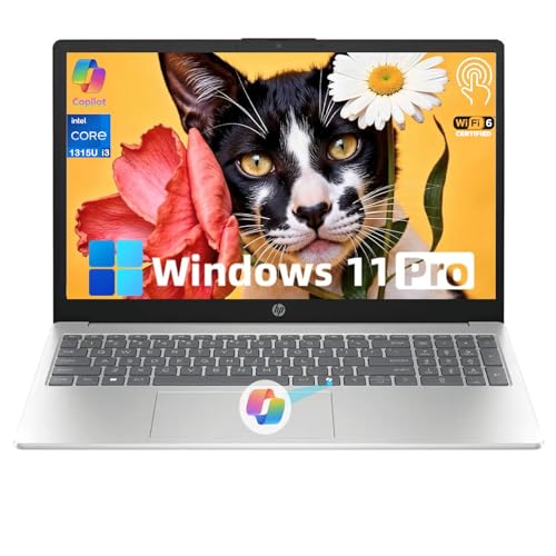 HP 15.6" Touchscreen Business Laptop Computer - Intel 13th Core i3-1315U(Up to 4.5GHz), Intel UHD Graphics, Anti-Glare, Windows 11 Pro (16 GB RAM,512GB SSD)