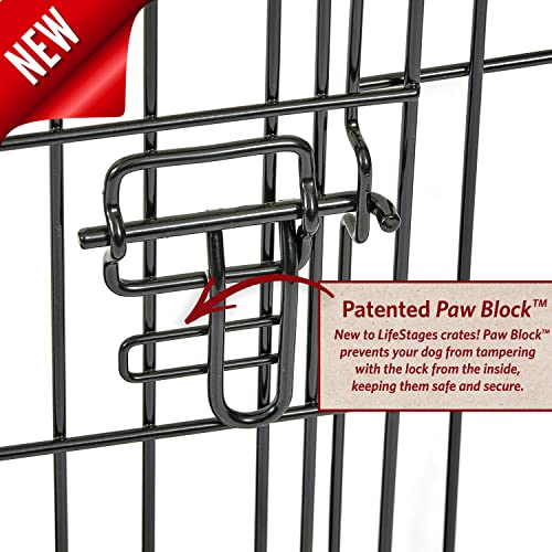 MidWest Homes for Pets Double Door 36-Inch Folding Dog Crate Y75670