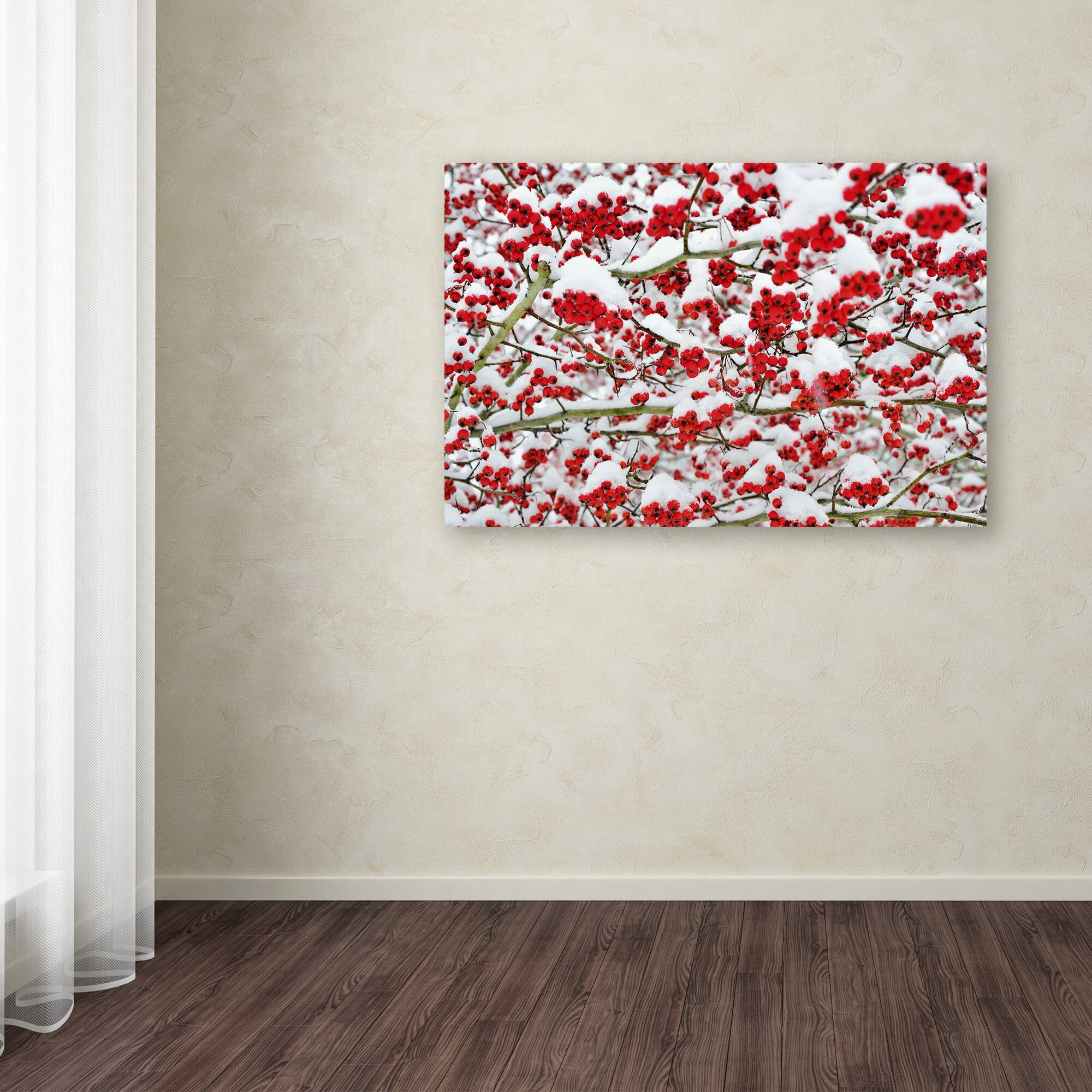 Trademark Global Kurt Shaffer Winter Berries in The Snow Canvas Art O157690