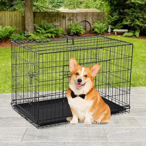 BestPet 42 Inch Folding Metal Wire Dog Crate with Double-Door and Removable Tray O49217