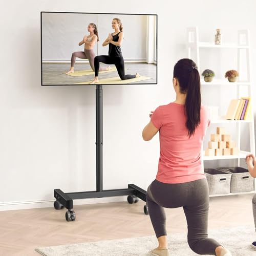 Perlegear Mobile TV Cart, Rolling TV Stand for 13-50 inch TVs, Height Adjustable, Holds 44lbs R956246