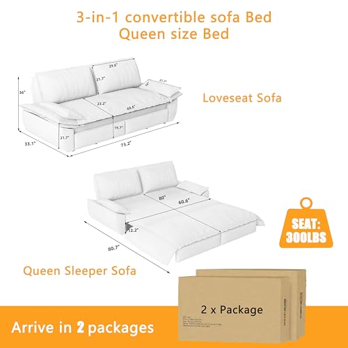 Queen Size Futon Sofa Bed with 2 Pillows, Blue V9731