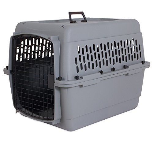 Petmate ASPEN PET Pet Porter Dog Kennel I262246
