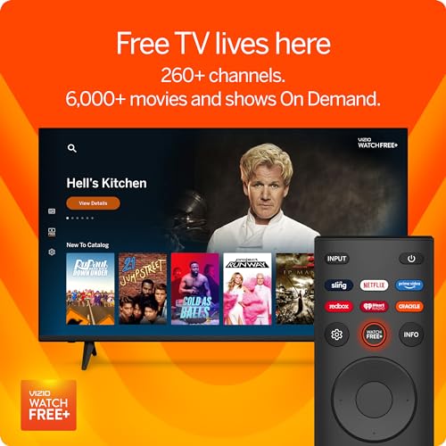 VIZIO 24-inch D-Series Full HD 1080p Smart TV with AirPlay & Chromecast, 2022 Model A794