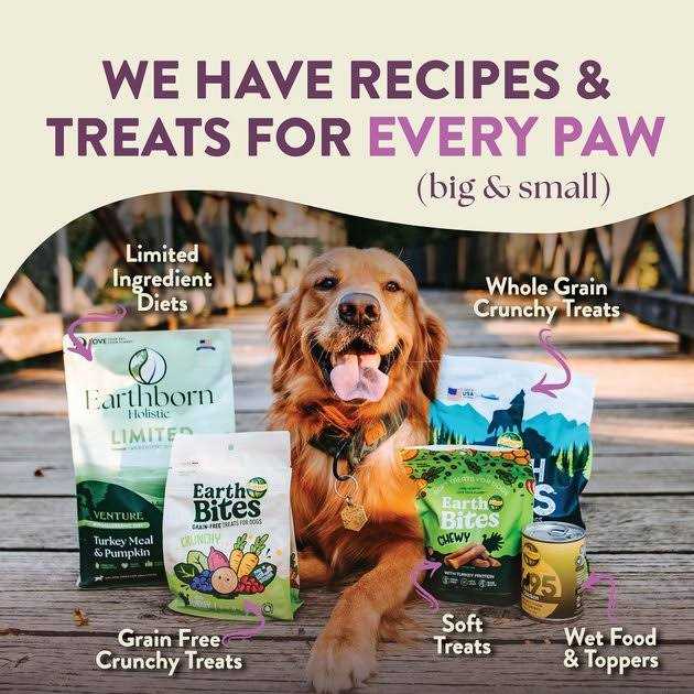 Earthborn Holistic Roasted Lamb with Ancient Grains Dry Dog Food P784