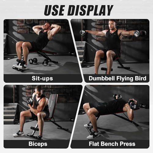 Adjustable Weight Bench for Home Gym, 800 LB Incline Decline Strength Training R306107