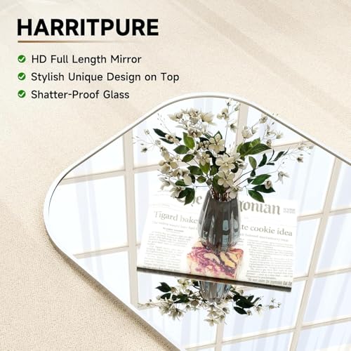 HARRITPURE 57"x20" Full Length Mirror with Aluminum Frame, Gold A38098