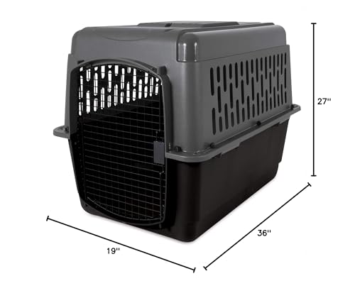 Petmate ASPEN PET Pet Porter Dog Kennel I262246