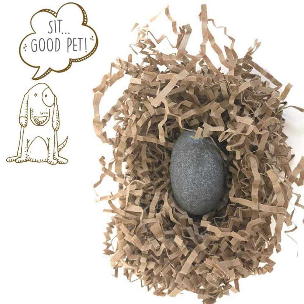 Pet Rock The Original by Gary Dahl Q366
