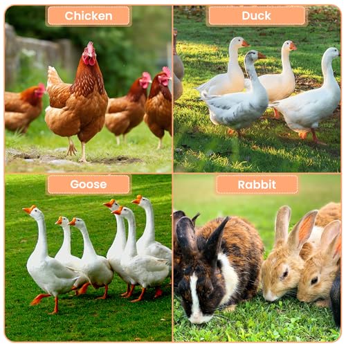Large Metal Chicken Coop Walk-in Poultry Cage with Waterproof Cover, Double Lockable Doors X5588
