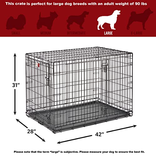 MidWest Homes for Pets Double Door 36-Inch Folding Dog Crate Y75670