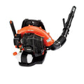Echo The Professionals Choice Backpack Blower, 58.2 CC Gas-Powered - Avayadevconnect