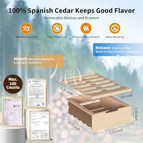 NEEDONE 23L Pro 2 SE Electric Cigar Humidor with Spanish Cedar Shelves E7583