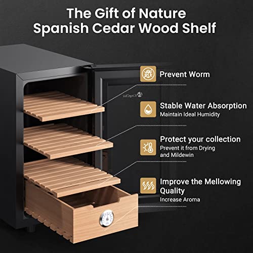 KingChii 16L Electric Cigar Humidor Cabinet with Temperature Control and Spanish Cedar Shelves H300
