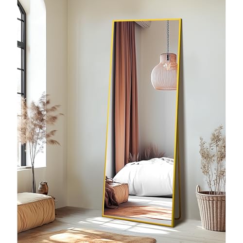 Delma Wall Full Length Mirror with Aluminium Frame, 56x15, Black Z730